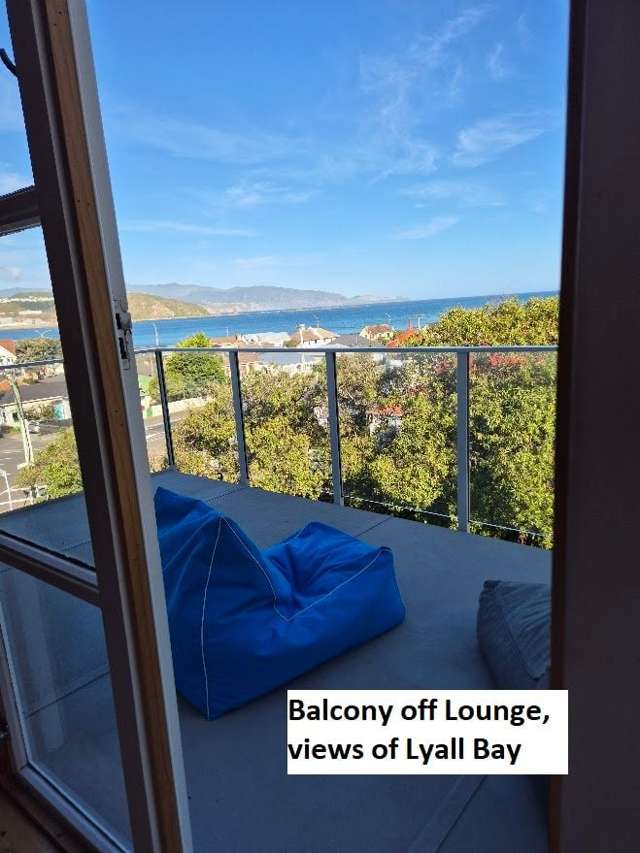 Address withheld Lyall Bay_4