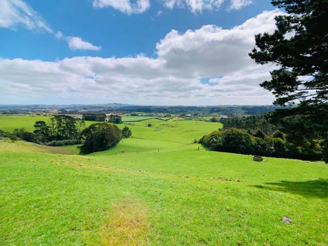 283 Trig Road Tuakau_4