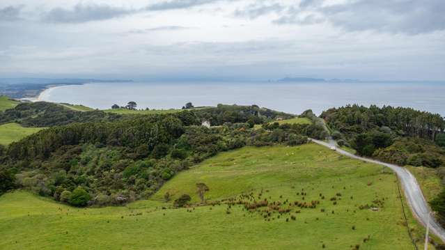 55 M Greenwood Road Leigh_2