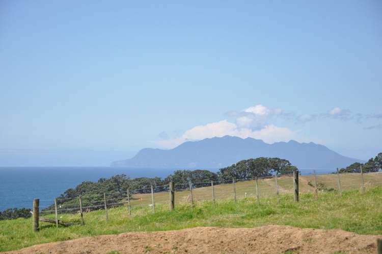 36 Matheson Bush Road Leigh_23