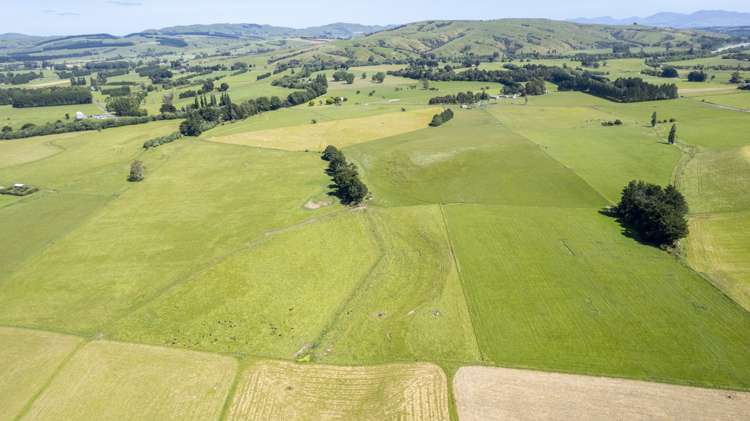 43 Taumata Island Road Carterton_9