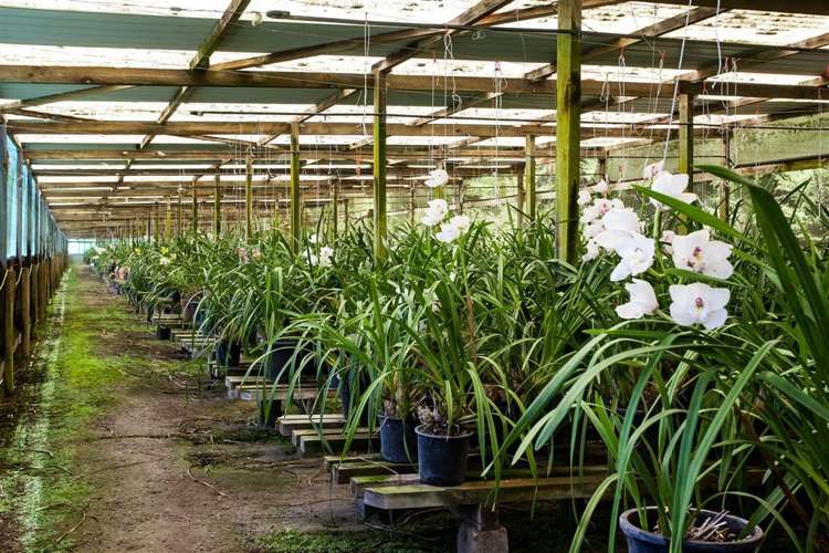 1105 State Highway 30 Whakatane_18