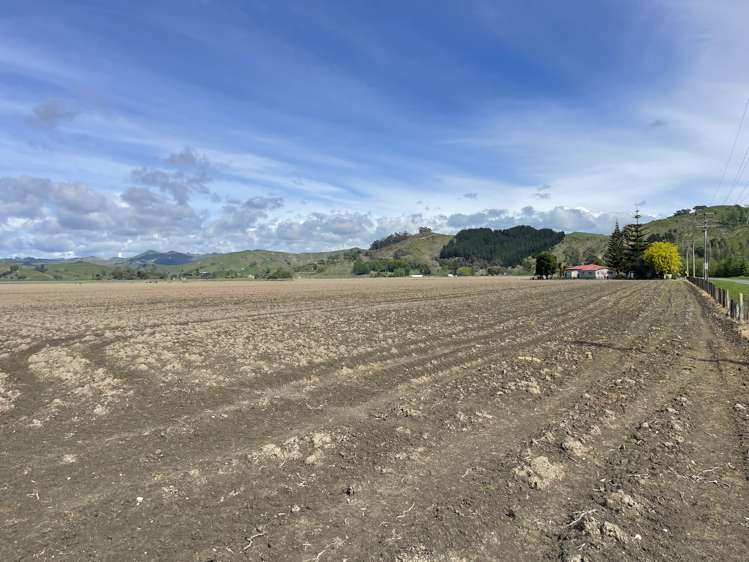 23 Mcfarlane Road Waituhi_18