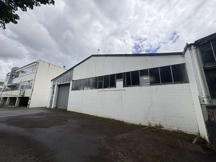 5a Fenton Street Mt Eden_0