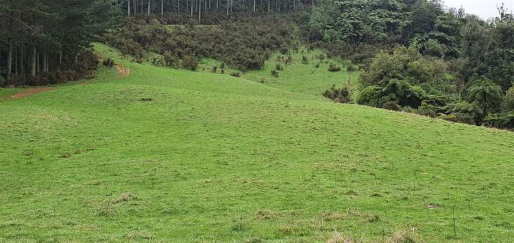 747c No 4 Road Te Puke_7