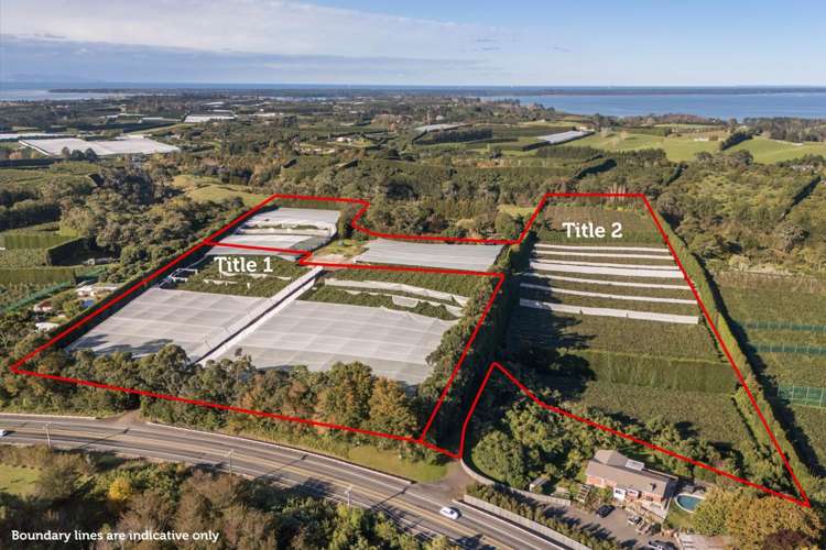 416 State Highway 2 Katikati_0