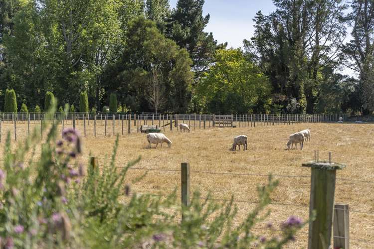 402 Upper Plain Road Upper Plain_19