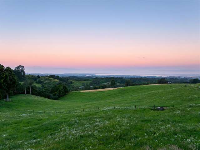 348D Rea Road Katikati_3