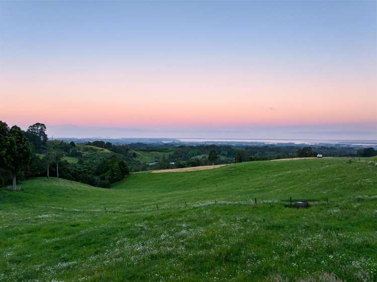 348D Rea Road Katikati_3