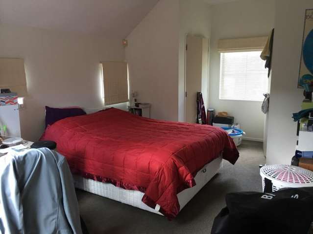 7 Laxon Terrace Remuera_4