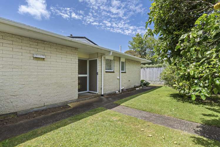 159B Saint Aubyn Street New Plymouth_16