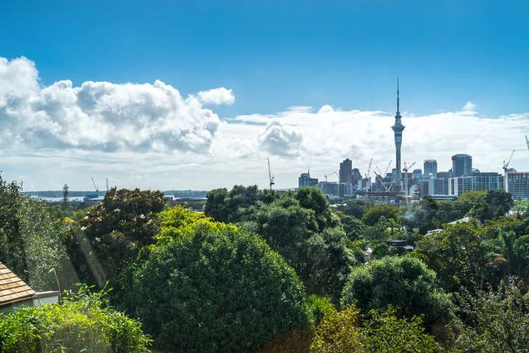 10/3 Paget Street Freemans Bay_12