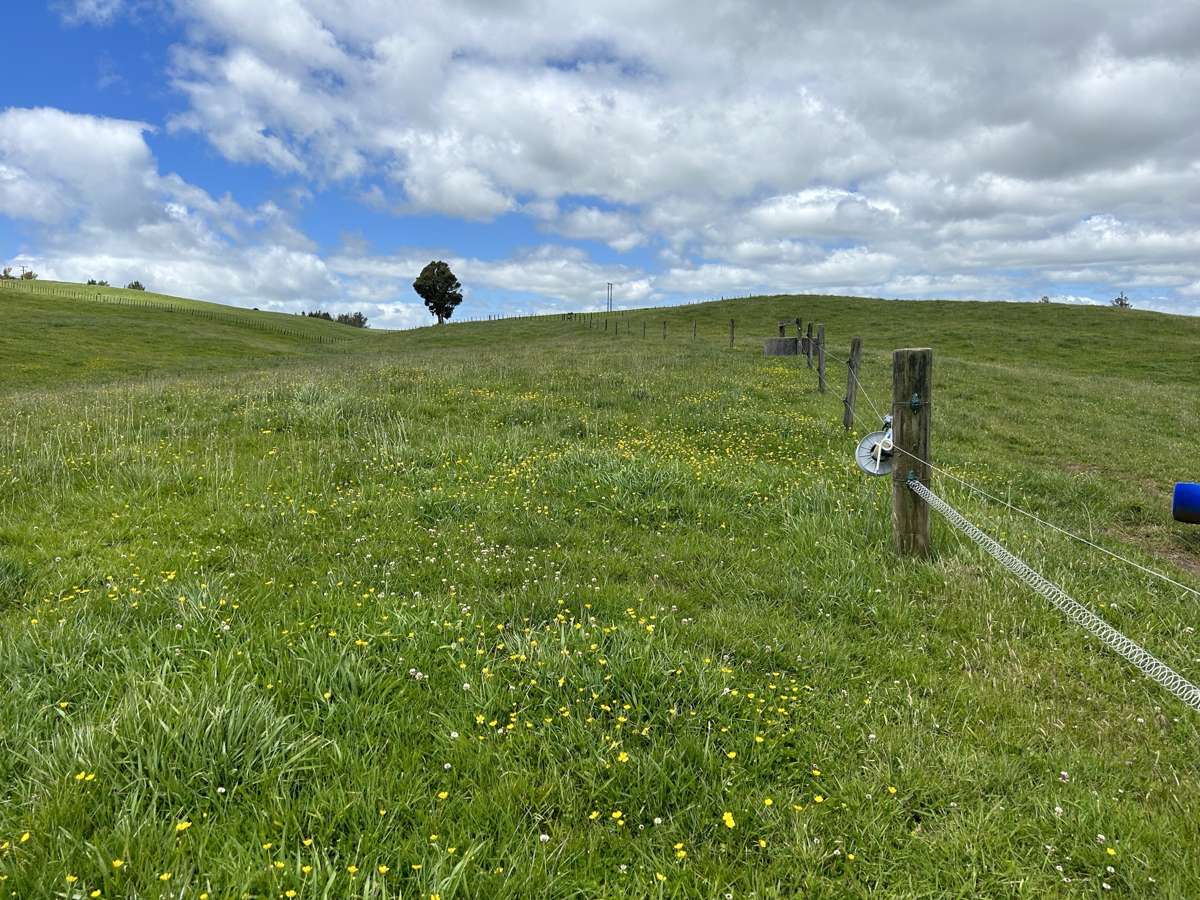 2868 State Highway 31_5