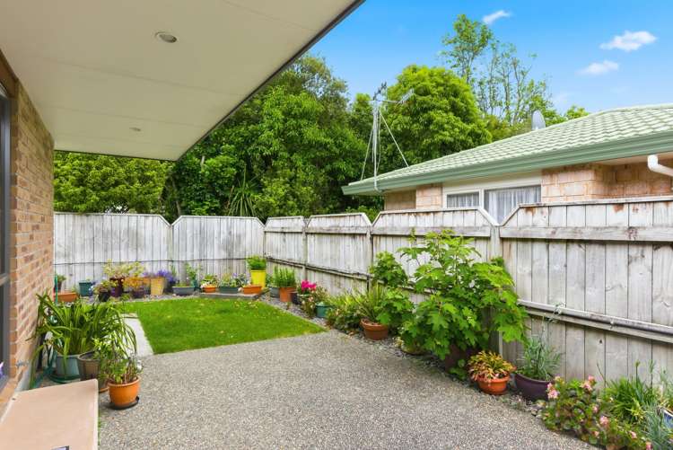 6 Campbell Grove Levin_7