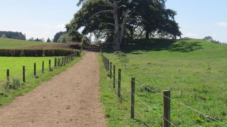 1276 Kakaramea Road Ngahinapouri_6