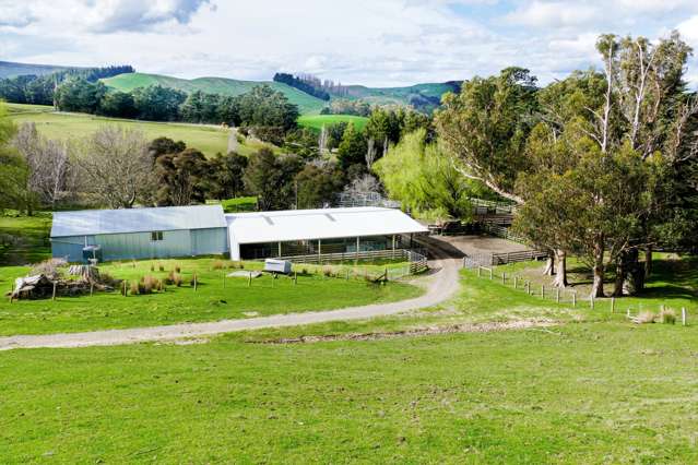 1312 Ngahape Road Central Hawkes Bay Country_1