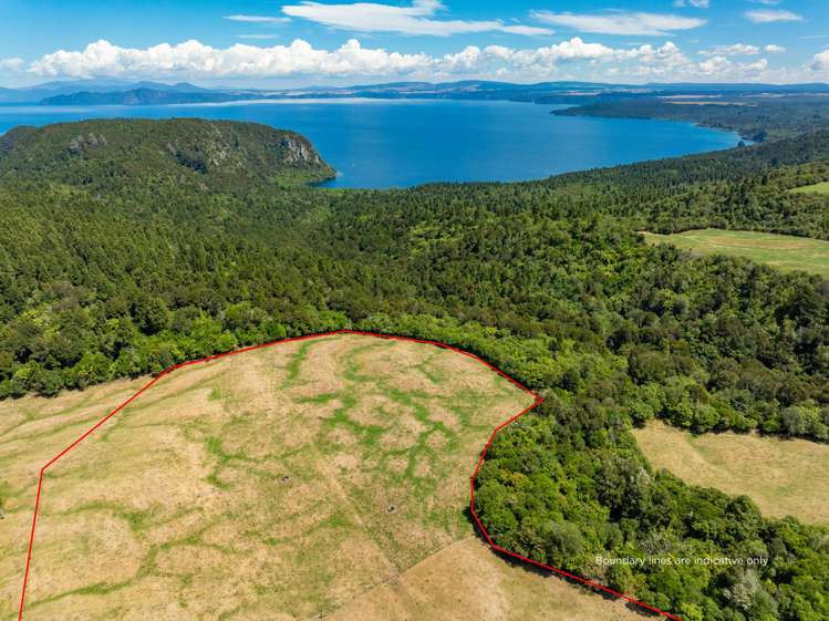 431 Kawakawa Road Marotiri_31