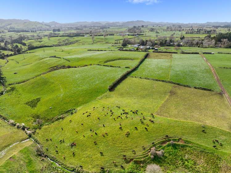 411 Pukekauri Road Waihi_15