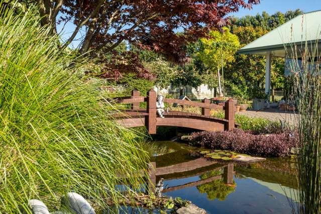 585d Mclaren Falls Road Kaimai_3