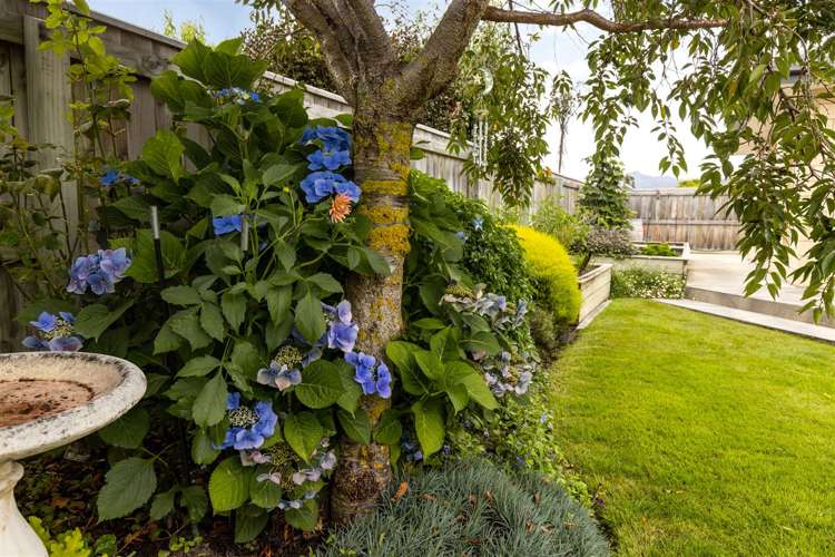 217 Taylor Pass Road Witherlea_28