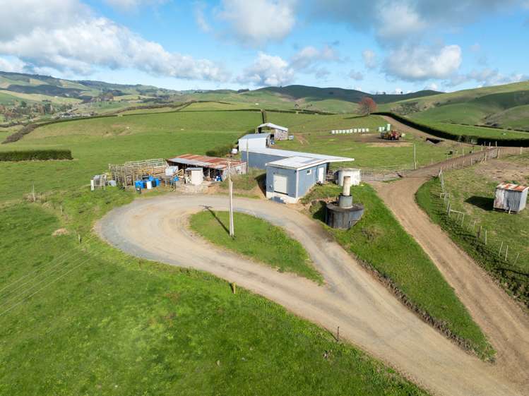 376 Starkey Road Morrinsville_13