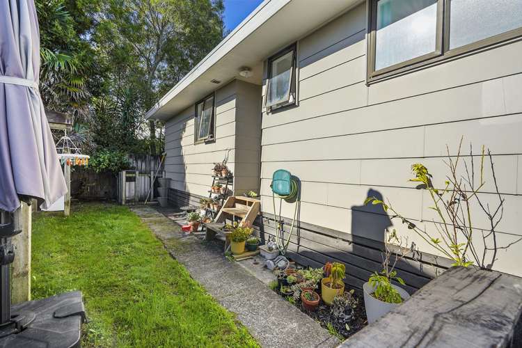 25B Dominion Road_2