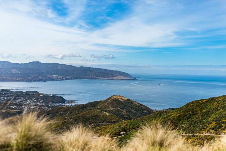 430 Hawkins Hill Road Brooklyn_28