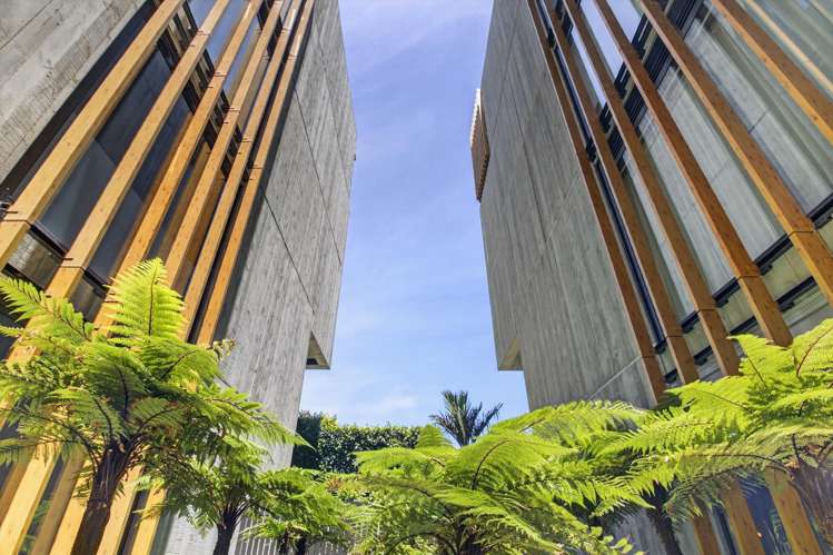 402/250 Kepa Road Mission Bay_19