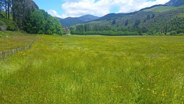 Motueka Valley Highway Motueka_0