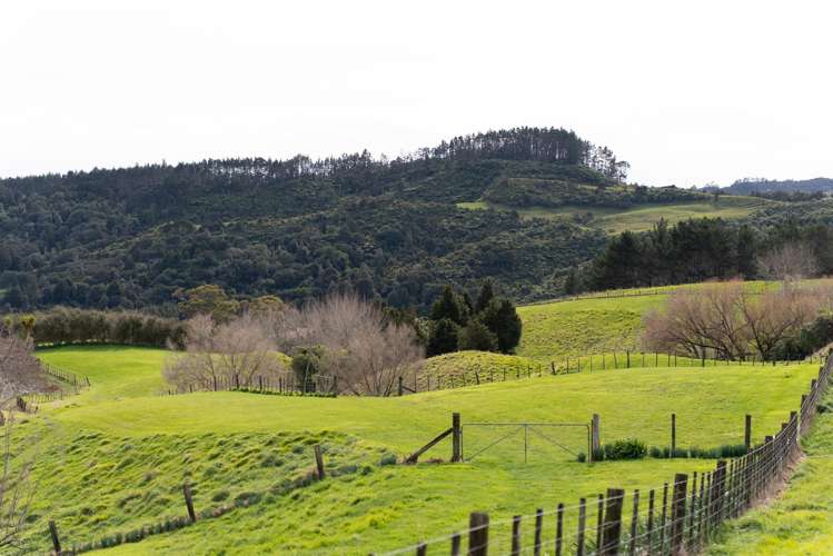 528 Ponga Road Opaheke_54