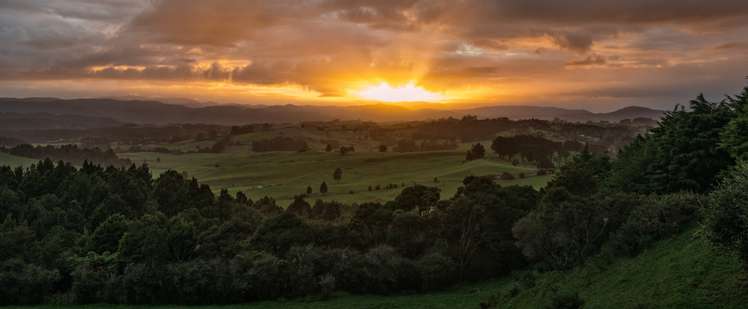 164 Steel Road Ararimu_0