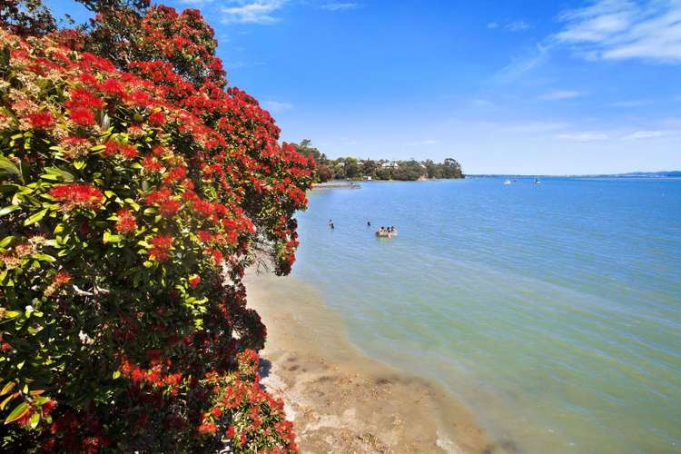 34 Fairclough Road Beach Haven_15