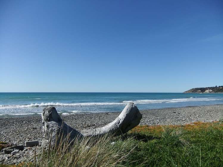 371 Cathedral Road Domett_21