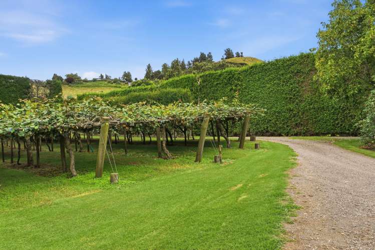 840 No 3 Road Te Puke_8