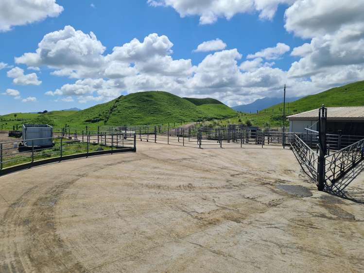 523/593 Warea Road Warea_12