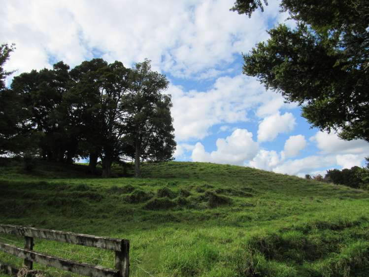 Bisset Road Kaikohe_15
