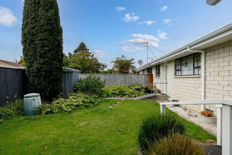 36 Criterion Street Bulls_14