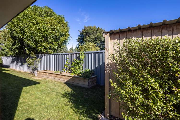 55a Williams Street Cambridge_21