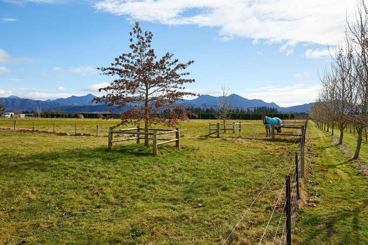 93 Guernsey Road Renwick_16