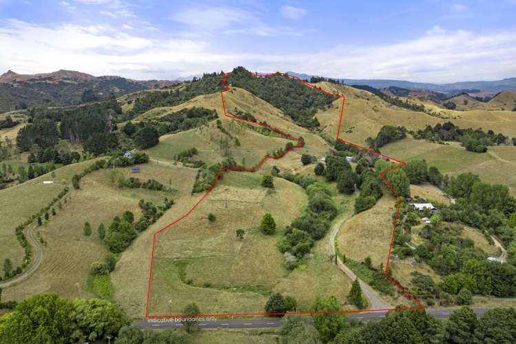 1007 Old Mountain Road Raglan_2