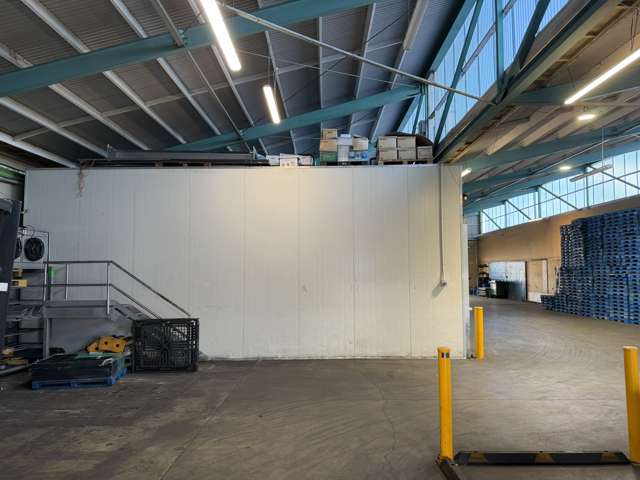 9 Midland Street South Dunedin_4