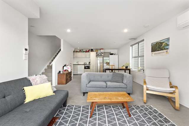 130a Aro Street Aro Valley_3