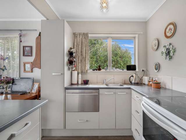 46 Durham Street Levin_4