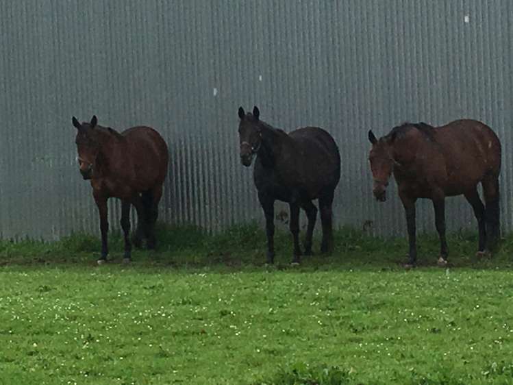 141 Parker Lane Buckland_18