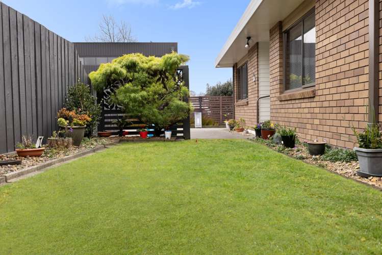 135a Sixteenth Avenue Tauranga South_10