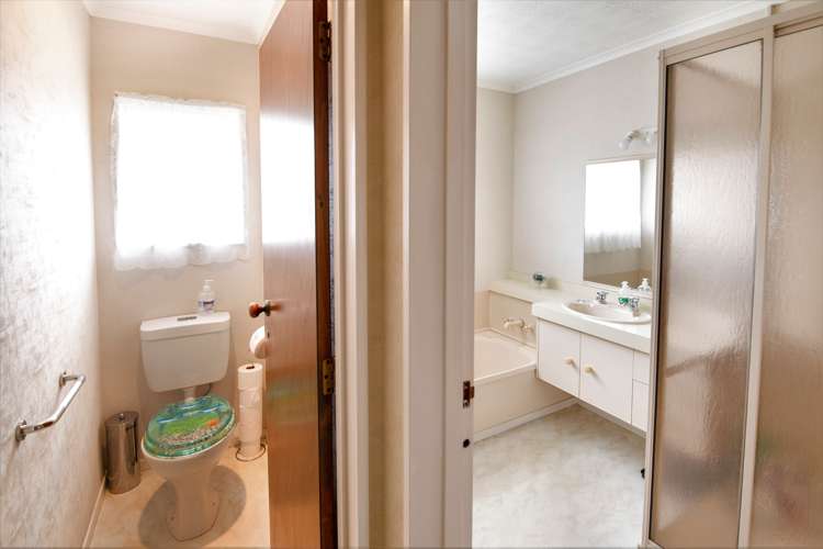 53 Auckland Road Greenmeadows_8