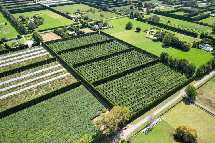 121a Macdonald Road Te Teko_21