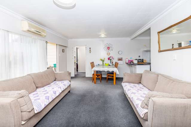 27b Maitland Street Frankton_4