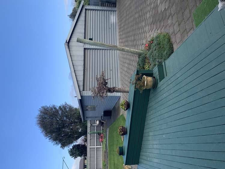 46 Catherine Street Tinwald_13