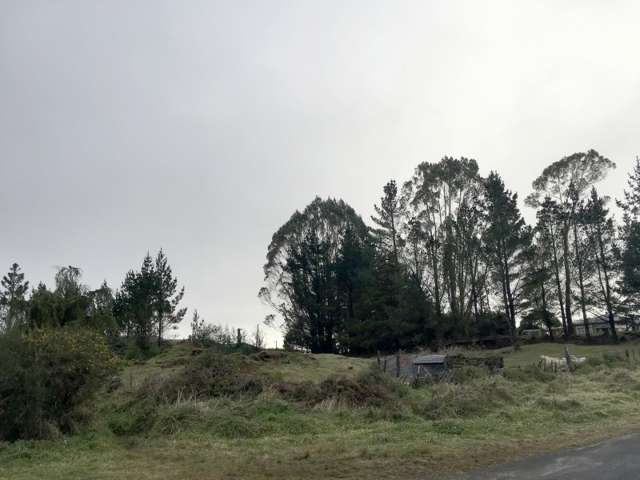 45 Kaponga Street Mamaku_3